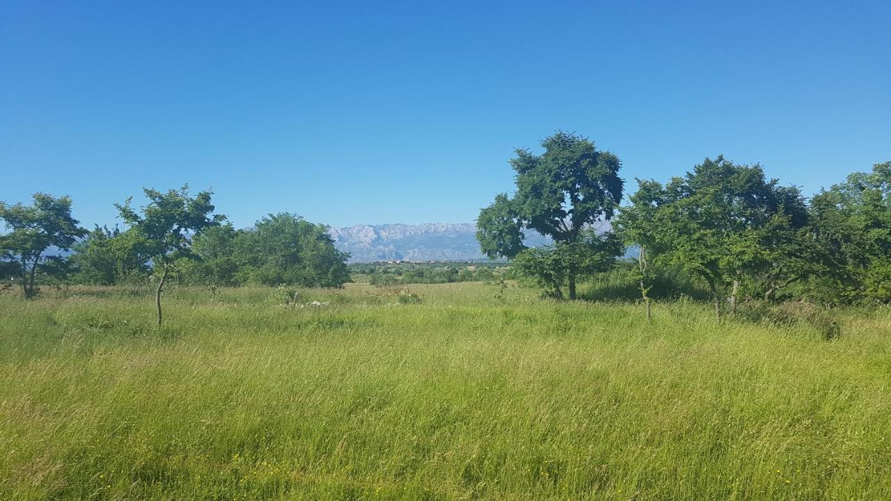 Savrsen Odmor U Villa Ivona Zadar Exterior photo